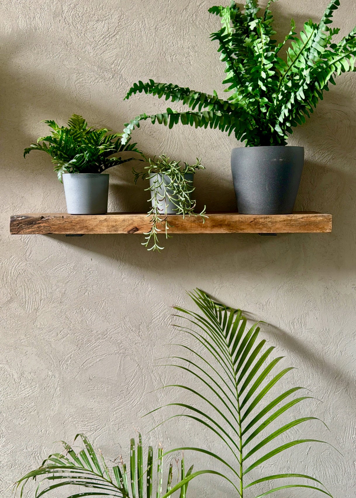 Rustic Handmade Floating Wooden Shelves | Chunky Rectangular Mango Wood shelf with Brackets | Length 30inch x 9 inch Depth x 2 inch Thickness