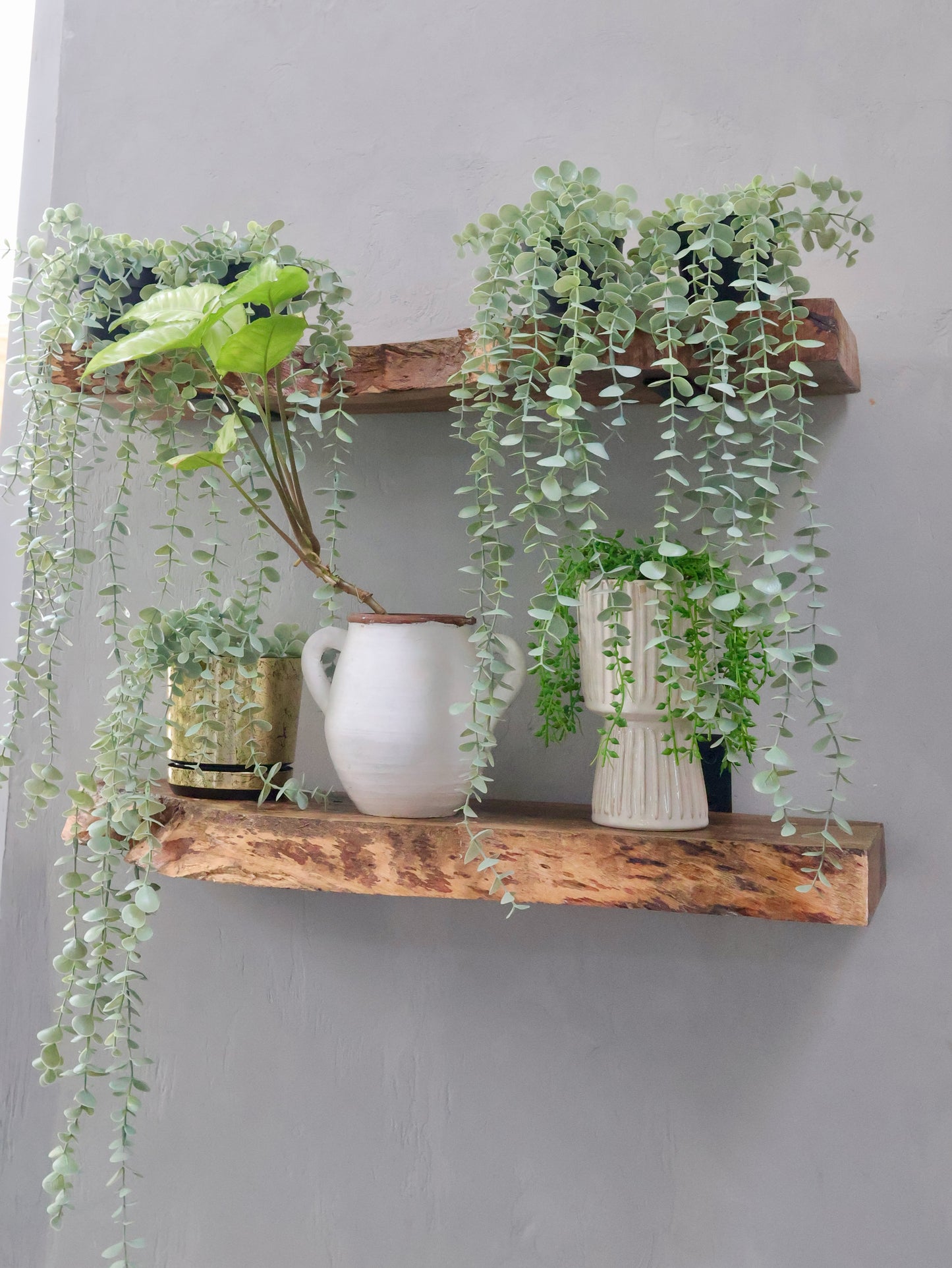 Rustic Handmade Floating Wooden Shelves | Chunky Live Edge Mango Wood shelf with Brackets | Length 30inch x 9 inch Depth x 1.75 inch Thickness